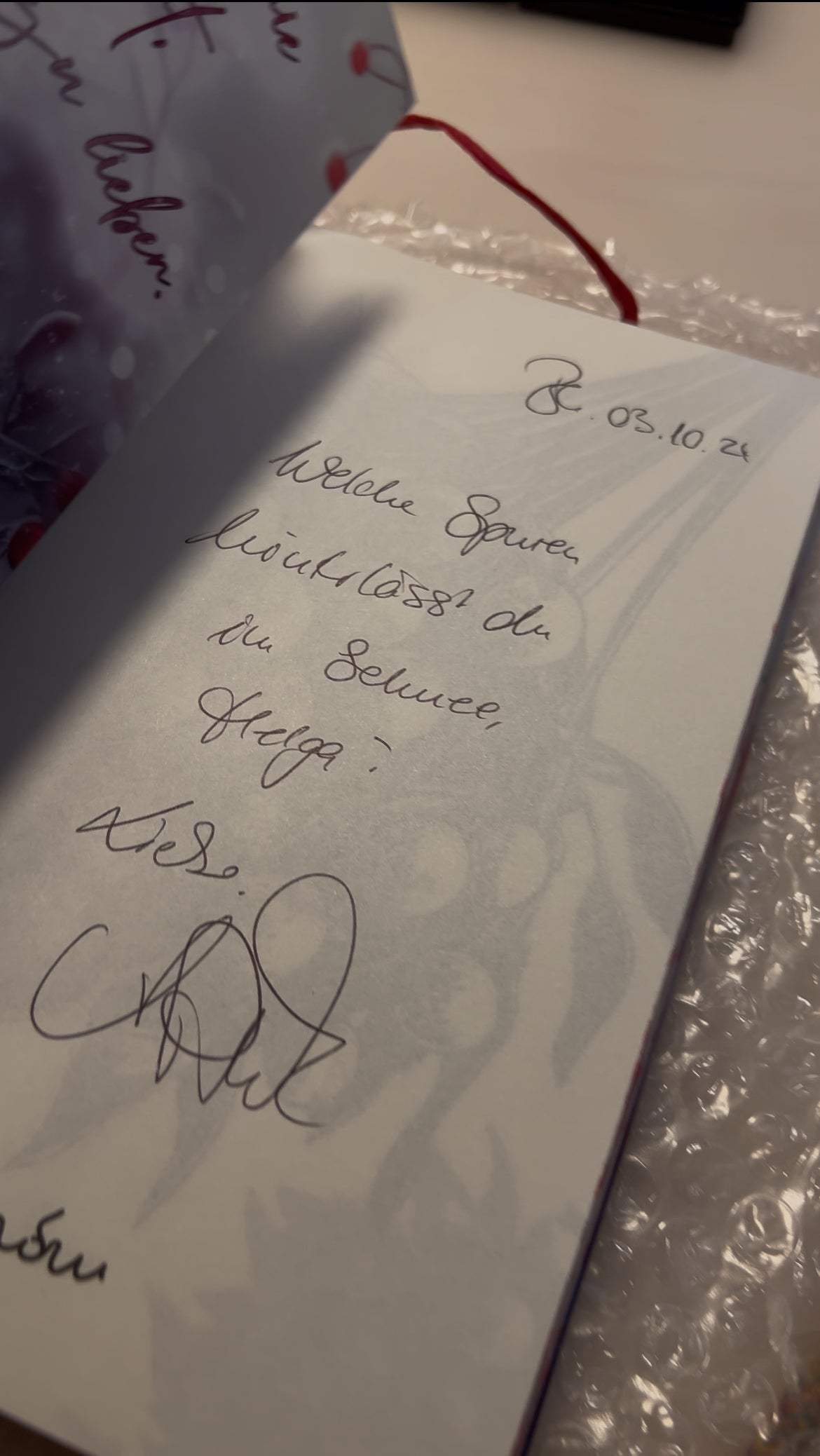 Taschenbuch »Wenn der Schnee fällt« von A.D. WiLK, in Szene gesetzt.
