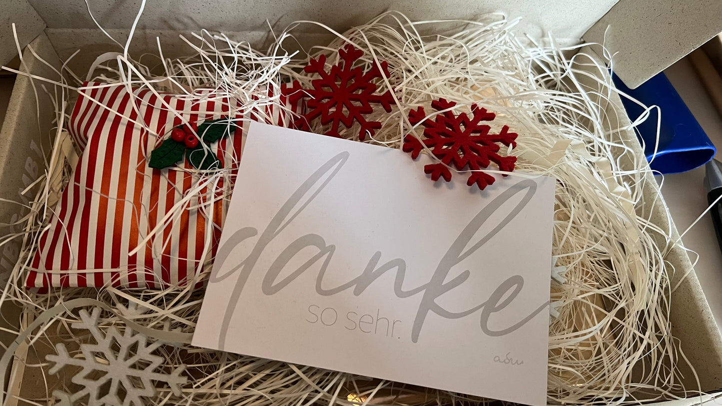 ANNA. This is my dream.