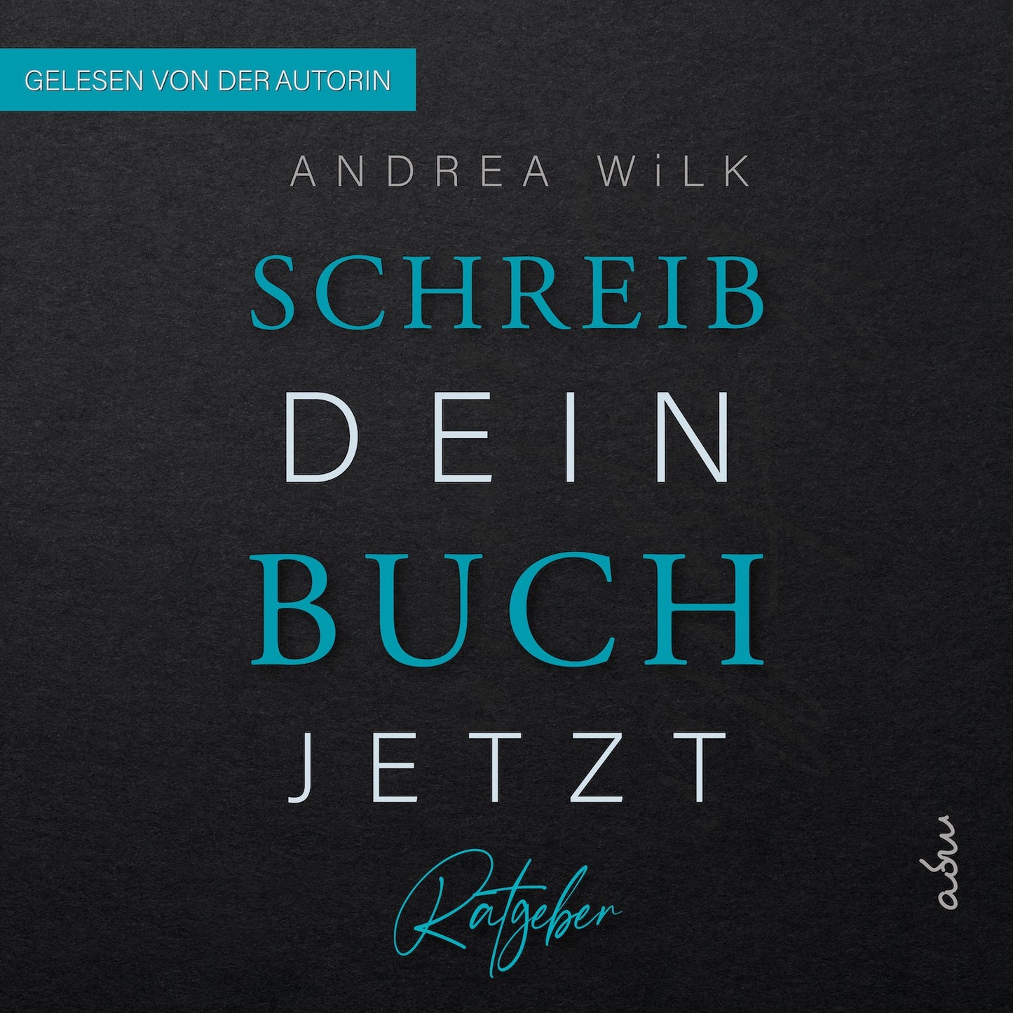 Schreib dein Buch jetzt. Dein Autoren Ratgeber von A.D. WiLK, Hörbuch-Ausgabe, dunkles Cover mit türkis-weißer Schrift.