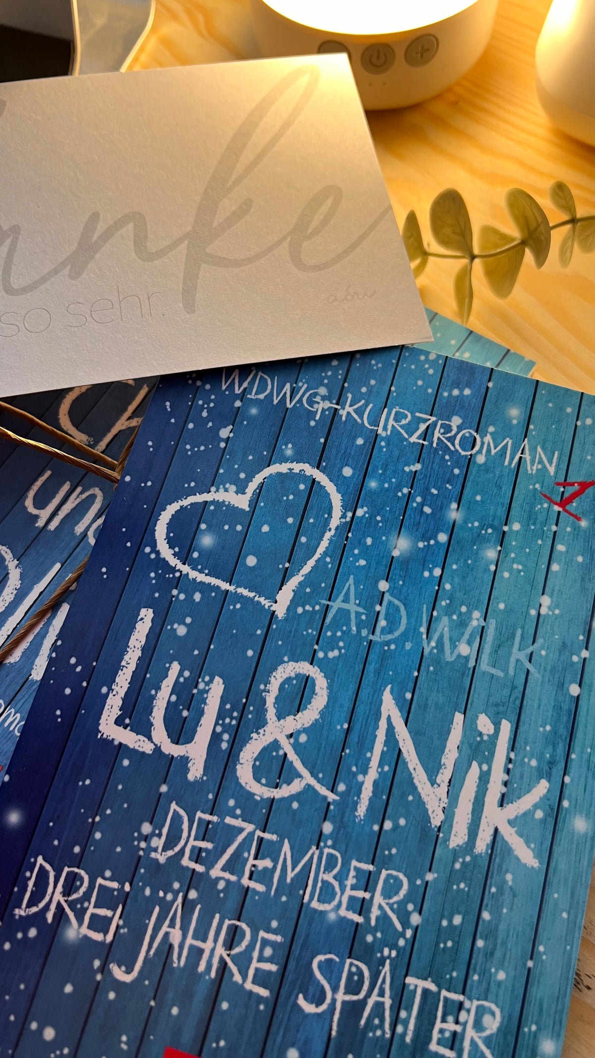 Taschenbuch »Lu & Nik. Dezember. Ein Jahr später.« von A.D. WiLK, in Szene gesetzt.