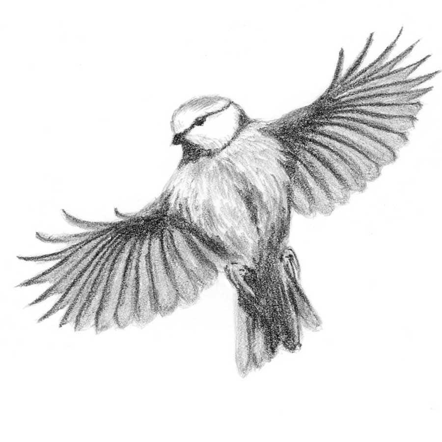 Stimmungsbild zu »Vielleicht war es Liebe«: Vogel.