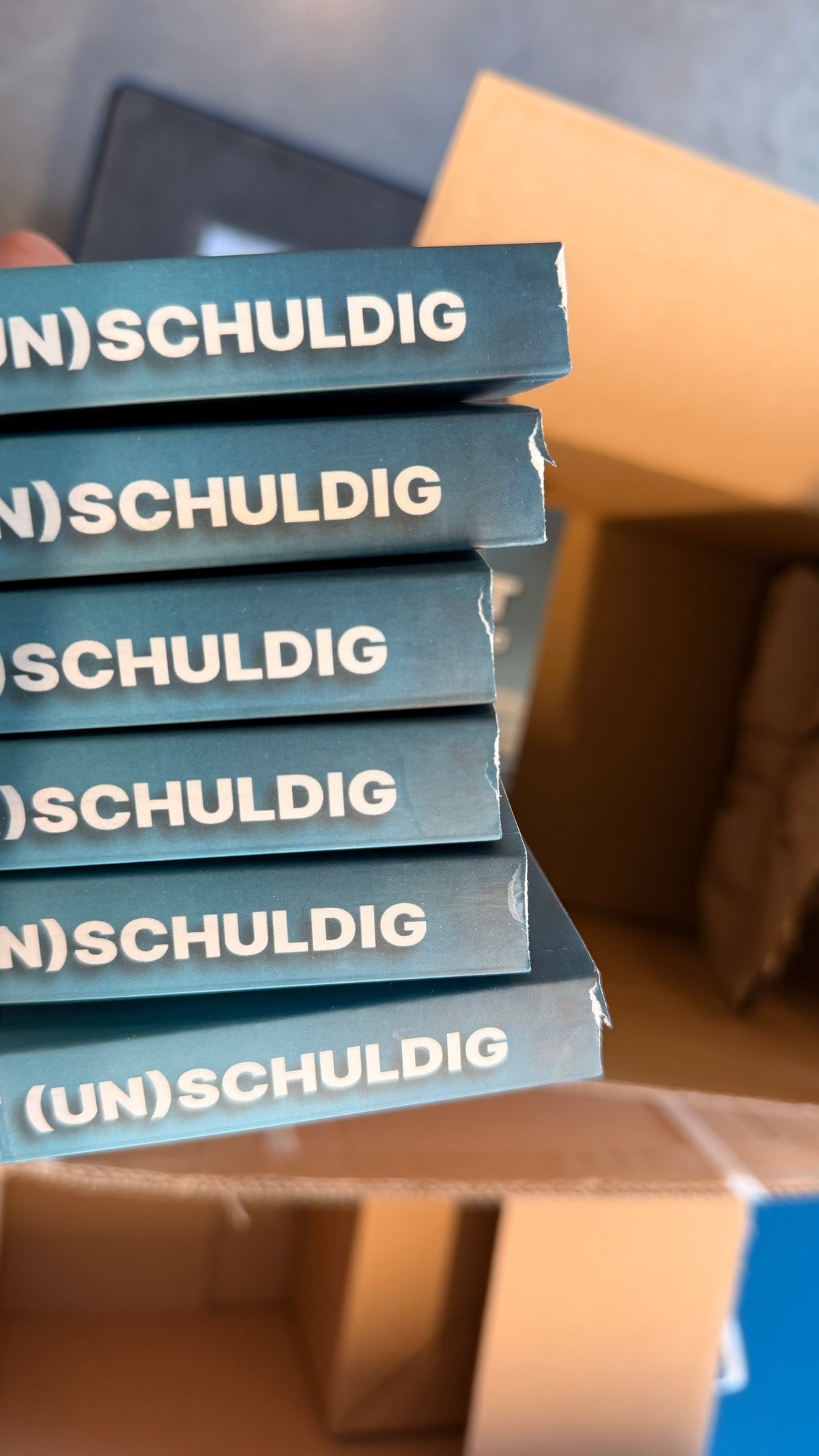 Taschenbuch »Nicht (un)schuldig« von A.D. WiLK und THEA WiLK, in Szene gesetzt.